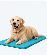 Animal cooling mat